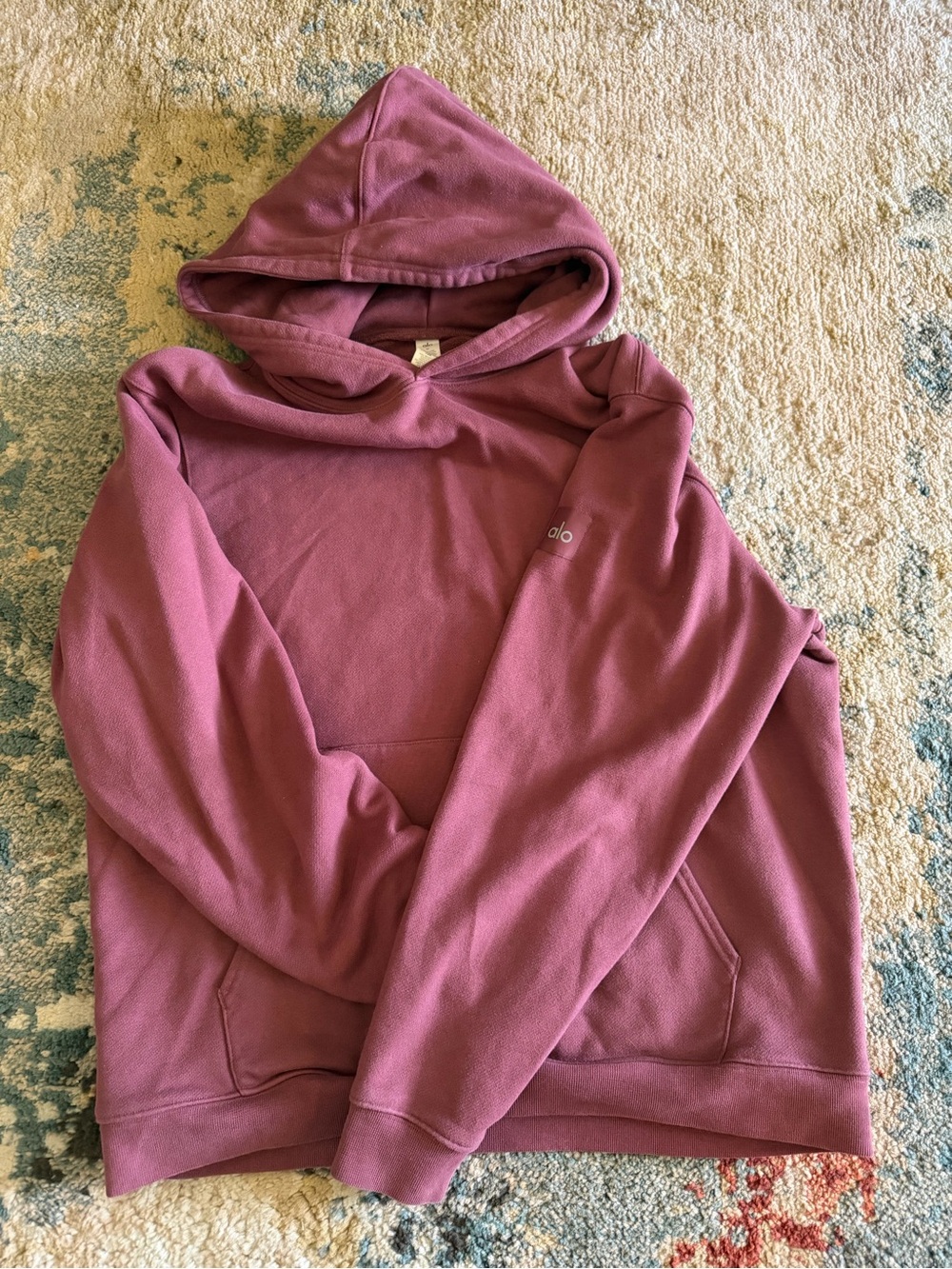 ALO Yoga Cozy Hoodie in Dusty Mauve